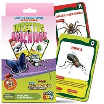 Imagen de Cartas Educativas Insectos Y Aracnidos